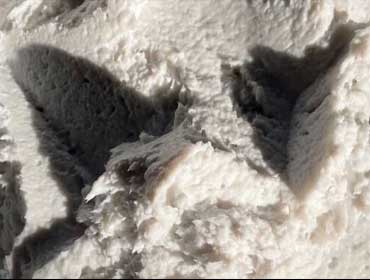 HTC500 Aerogel Coating - Görseli